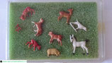 Diverse Tiere