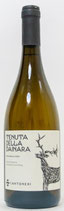 Tenuta Della Dainara Etna Bianco Cantoneri 2021