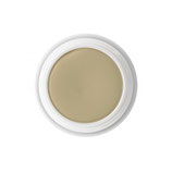 CAMOUFLAGE CREAM 12