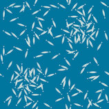 BIO-BW Birch Fabrics Fische