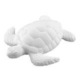 SCHILDKRÖTE M