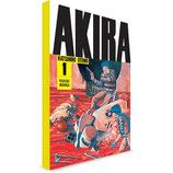 MANGA AKIRA