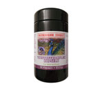 Vitstoff Komplex