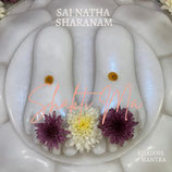 Sai Natha Sharanam (CD) Shakti Ma