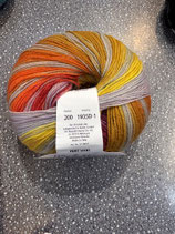 Wooly Hugs, Paint Socks Farbe 200