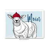"Schaf, Mütze, Moin" - Postkarte
