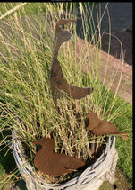 SEEHUND WILLI  Art.0029