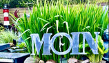*MOIN-SCHILD-SYLT* EXKLUSIV NUR BEI UNS. Art.0008
