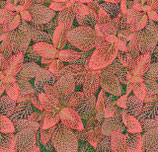 KF982-Kaffe Fassett-Philip Jacobs for the Kaffe Fassett Collective_PWPJ129.RED_Fittonia