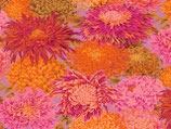 KF1118 - Philip Jacobs For The Kaffe Fassett Collective February 2026 Collection - PWPJ041- Japanese Chrysanthemum - PINKX