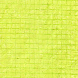 TLT_Bat_831_Tonga_Floating Grid-B8011-Neon