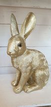 Hase goldfarben