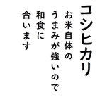 【送料無料】ポストに届く精米したてのコシヒカリ白米８００ｇ（約５合）