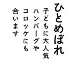 【送料無料】ポストに届く精米したてのひとめぼれ白米８００ｇ（約５合弱）