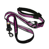 Kurgo Quantum 6-in-1 Dog Leash