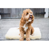 Huggle Hound Fleece Mat