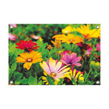 Tuin poster Flowers