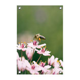 Tuin poster Flower & Bee