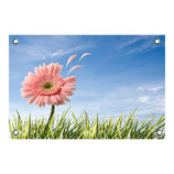 Tuin poster Flower