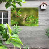 Tuin poster Mees