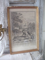 Zauberhafte franz. Gravure im vergoldeten Holzrahmen