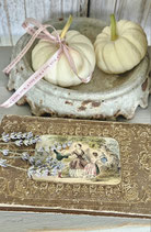 Antikes französisches Buch "Les nouveaux petits Béarnais"