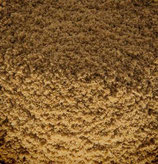 Kreuzkümmel (Cumin)