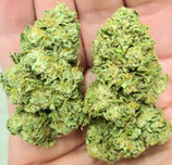 white widow - INDOOR
