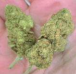 CHEESE - GREEN HOUSE