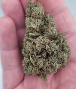 skunk passion - indoor