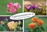 Glückwunschkarten  Set 3 - mit Zitaten