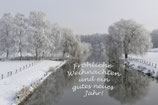 Weihnachtsgrüße  Natur  -2  verschiedene Motive