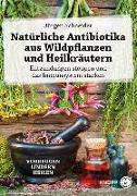 Natürliche Antibiotika aus Wildpflanzen und Heilkräutern