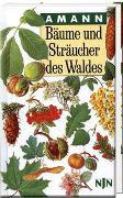 Bäume und Sträucher des Waldes