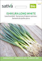 Lauchzwiebel - ISHIKURA LONG WHITE