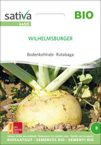 Bodenkohlrabi - WILHELMSBURGER