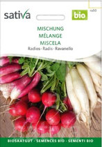 Radies - Mischung