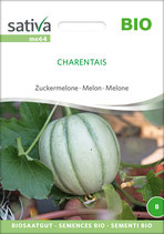 Zuckermelone - CHARENTAIS