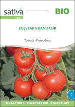 Tomate - BOLSTAR GRANDA DB