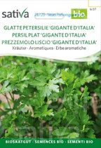 Glatte Petersilie