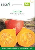 Kürbis  FICTOR DB