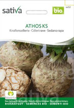 Knollensellerie - ATHOS KS (SAT 325)