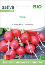 Radies - WIRA