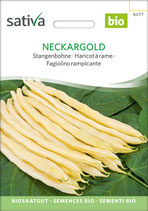 Stangenbohne - NECKARGOLD