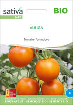 Tomate - AURIGA