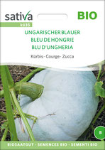 Kürbis - UNGARISCHER BLAUER