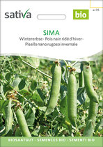 Wintererbse - SIMA