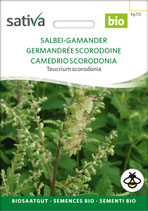 Teucrium scorodonia - SALBEI-GAMANDER