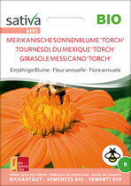 Einjährige Blume - MEXIKANISCHE SONNENBLUME 'TORCH'