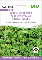 Kräuter - RUCOLA, WILDE RAUKE